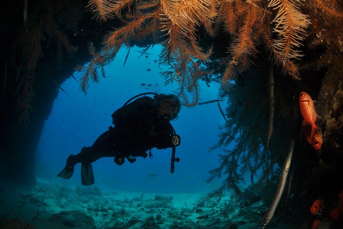 Half-Day Diving in Sal - Guided Dive Experience
