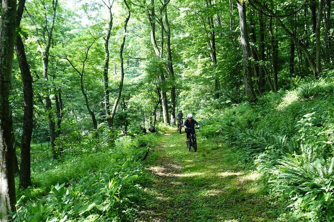 Half Day E-Bike Adventure Tour in Nagano - Inclusions and What to Expect