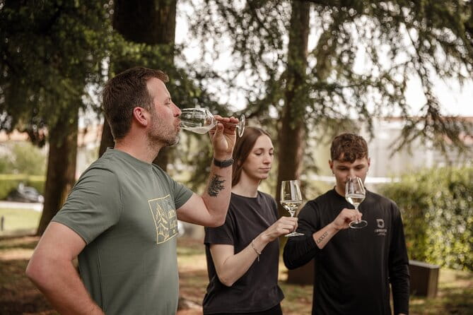 Half-Day E-Bike Tour in Prosecco Hills with Prosecco Tasting - Key Points / Takeaways