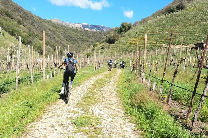Half-Day E-Bike Tour in Prosecco Hills with Prosecco Tasting - The Itinerary in Detail: What Expect and Why It Matters