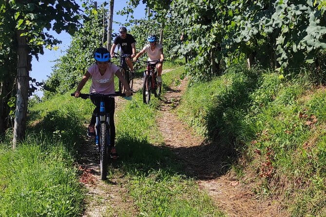 Half-Day E-Bike Tour in Prosecco Hills with Prosecco Tasting - Price and Logistics: Good Value for a Memorable Day