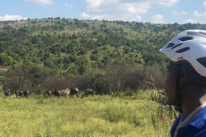 Half Day E-Biking With Wildlife Watching in Pretoria - Spotting Wildlife