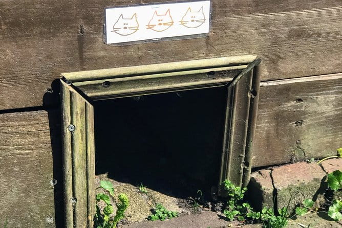 Half-Day Edam and Volendam Private Walking Tour from Amsterdam - Exploring the Village Charm: Edam and Volendam in Detail