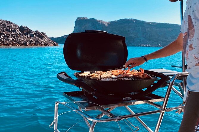 Half-Day Exclusive Catamaran Cruise in Santorini With Meal and Open Bar - Logistical Details and Accessibility Information