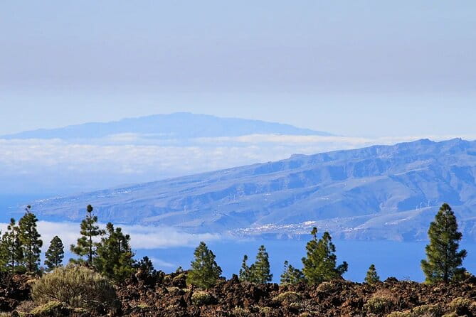 Half-day excursion to Teide National Park - Reliable, Comfortable Transportation
