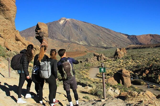 Half-day excursion to Teide National Park - Price and Value Analysis