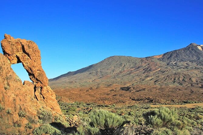 Half-day excursion to Teide National Park - Who is This Tour Best For?