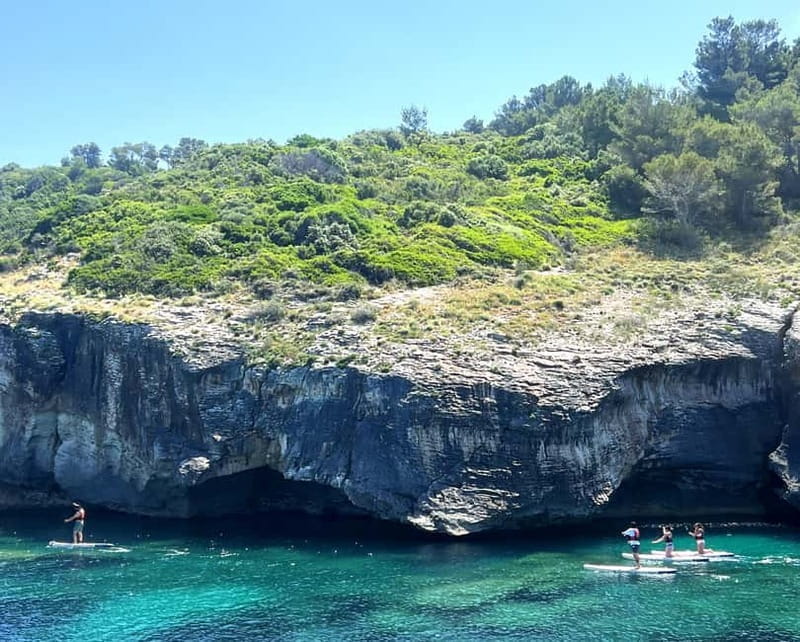 Half-day excursion with lunch Cap Corse & Agriates Desert - FAQs