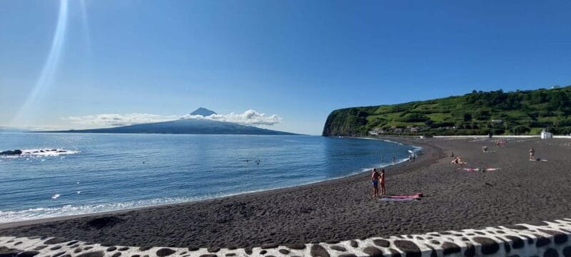 Half Day Faial Island Tour - Starting Point: Convenient and Central