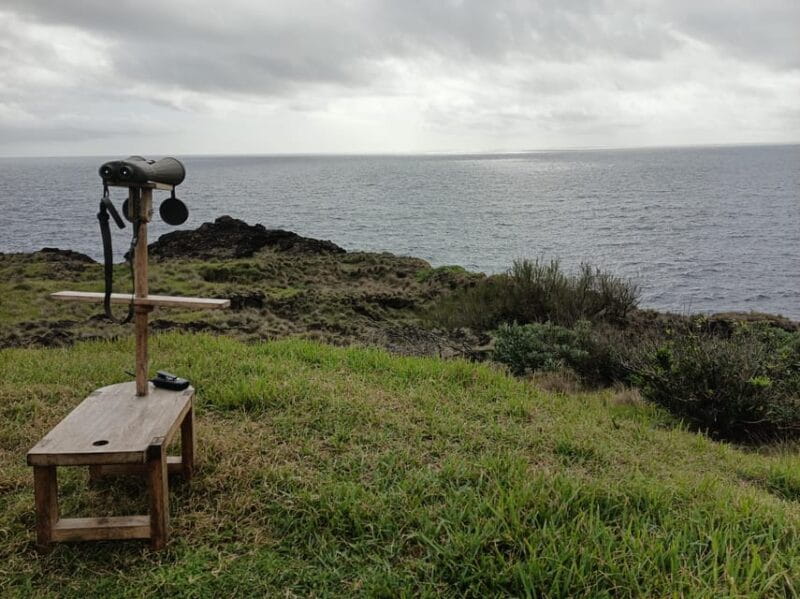 Half Day Faial Island Tour - Who Will Love This Tour?