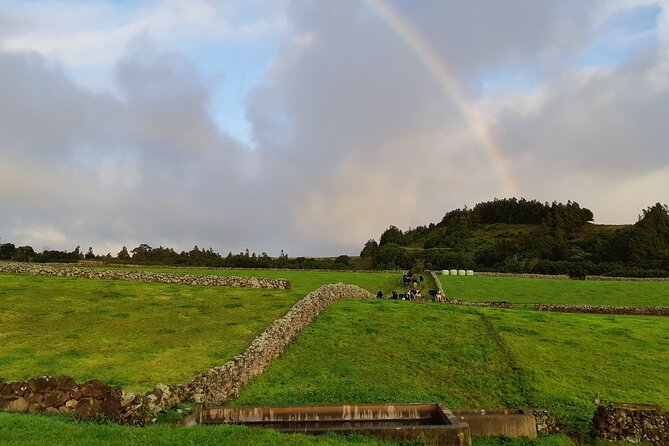 Half-Day Farm Visit and Cow Milking Experience - Pricing and Guarantees