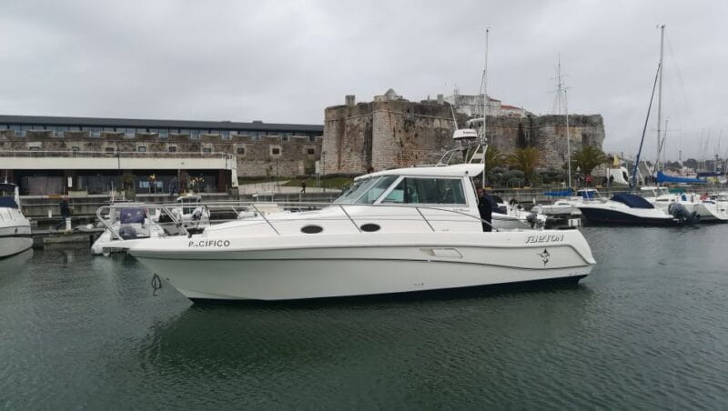 Half Day Fishing Trip - Practical Tips for a Smooth Trip