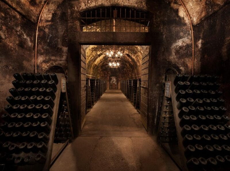 Half-Day Food and Wine Experience in Franciacorta - Who Will Appreciate This Tour?