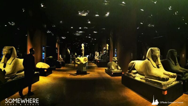 Half Day from Milan: discover the Egyptian Museum of Turin - Logistics: Pricing, Timing, and Practical Tips