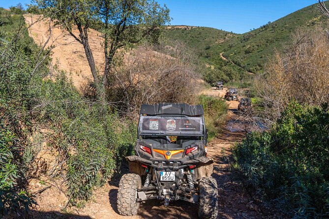 Half Day Getaway Buggy Tour - Additional Considerations