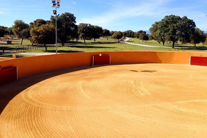 Half-Day Guided Tour to a bull farm in Madrid - Key points / Takeaways
