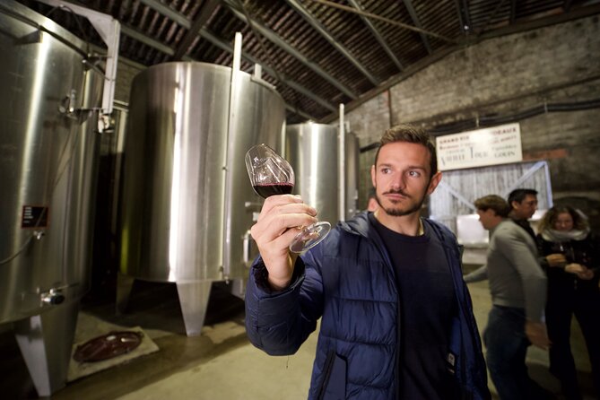 Half-Day Guided Wine Tasting Tour in Bordeaux Vineyards - Pricing and Cancellation Policy