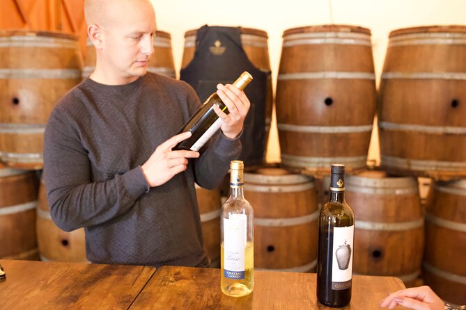 Half-Day Guided Wine Tasting Tour in Bordeaux Vineyards - Maximum Participants