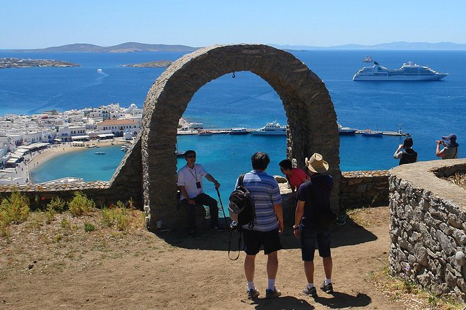 Half-Day Highlights of Mykonos Tour - Overview of the Tour