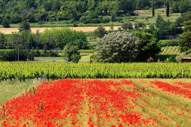 Half Day Hilltop Villages of Luberon Tour from Avignon - Practical Tips for Making the Most of This Experience