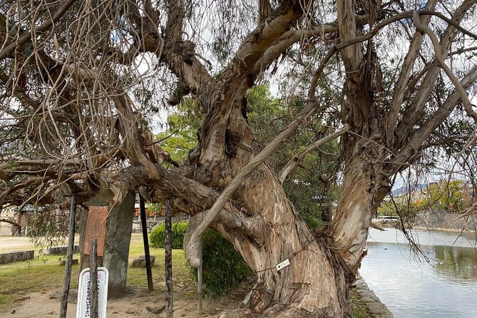Half Day Hiroshima Highlight Tour With Story Telling - Cancellation and Payment