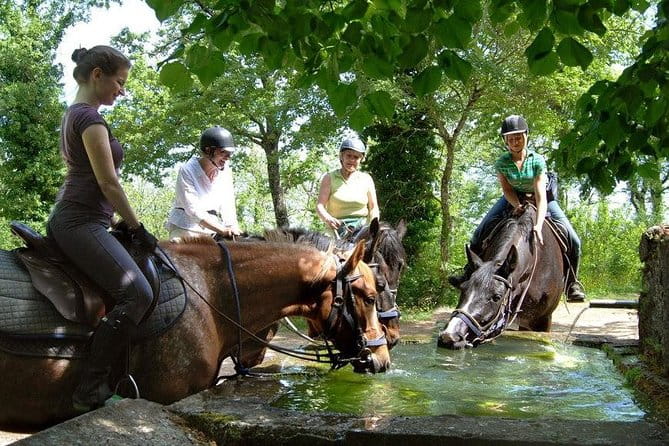Half-Day Horseback Ride in Tuscany - Exploring Tuscany on Horseback: A Genuine Look