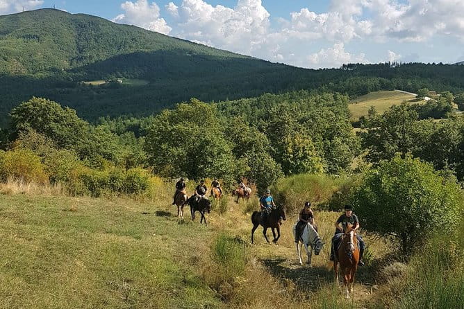 Half-Day Horseback Ride in Tuscany - Itinerary Deep Dive: What to Expect