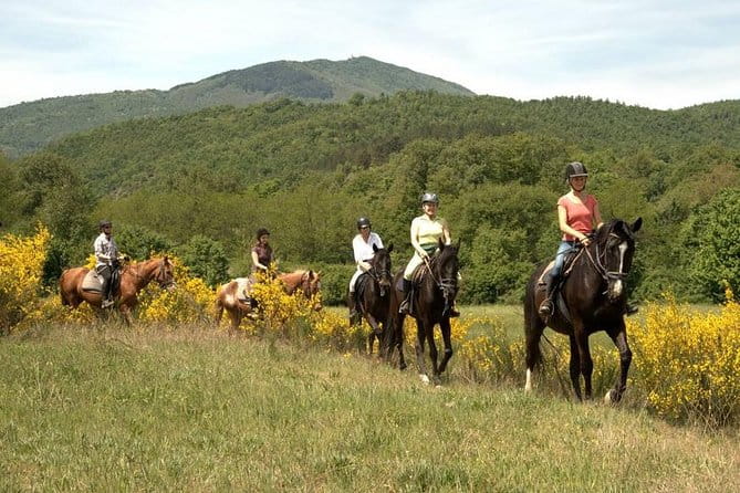 Half-Day Horseback Ride in Tuscany - The Sum Up: Is This Ride Right for You?