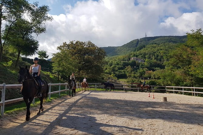 Half-Day Horseback Ride in Tuscany for beginner riders - Key Points / Takeaways