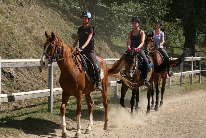 Half-Day Horseback Ride in Tuscany for beginner riders - The Practicalities: What’s Included and What to Consider