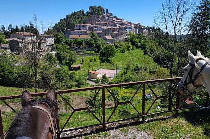 Half-Day Horseback Ride in Tuscany for beginner riders - The Sum Up: A Relaxing, Scenic Escape Worth The Price