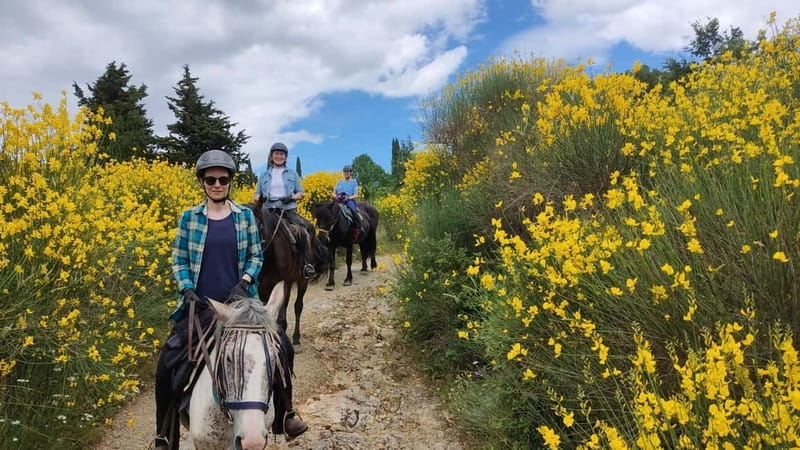 Half-day horseback riding day trip in Tuscany for beginners - Introduction: A Beginner-Friendly Ride Through Tuscany’s Charm