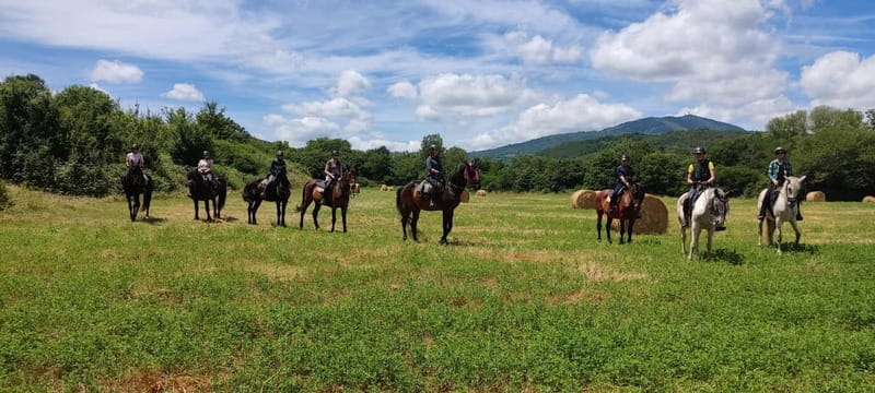 Half-day horseback riding day trip in Tuscany for beginners - Key Points / Takeaways
