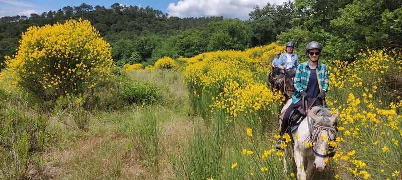 Half-day horseback riding day trip in Tuscany for beginners - Price and Logistics: Good Value for a Unique Experience