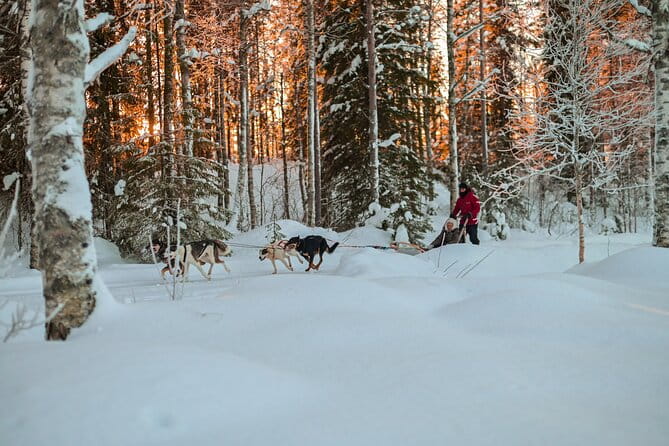 Half-Day Husky Safari and Salmon Ice Fishing Experience - Who Will Love This Tour?