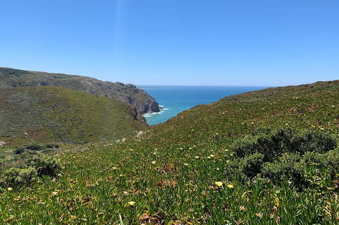 Half Day in Sintra and Cabo da Roca with Wine Tasting - Key points / Takeaways