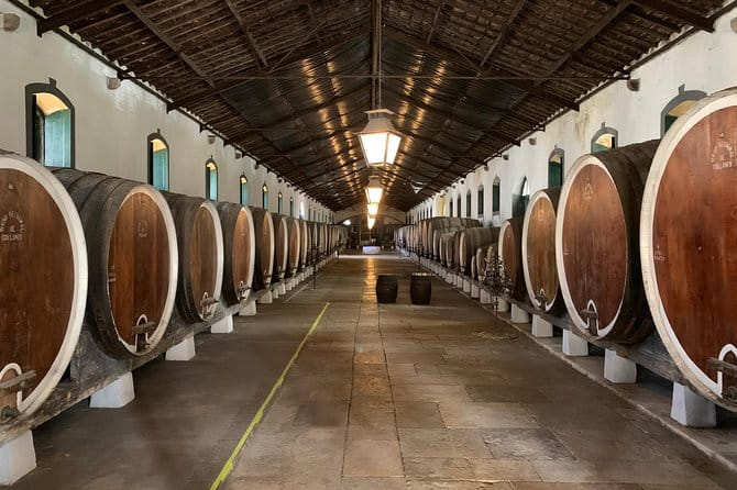 Half Day in Sintra and Cabo da Roca with Wine Tasting - Practical Details and Who This Tour Suits Best