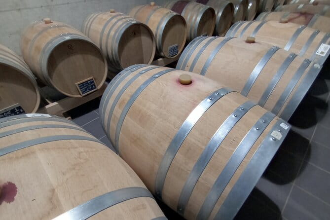 Half-Day Irpinia Wine Tour from SALERNO - Key Points