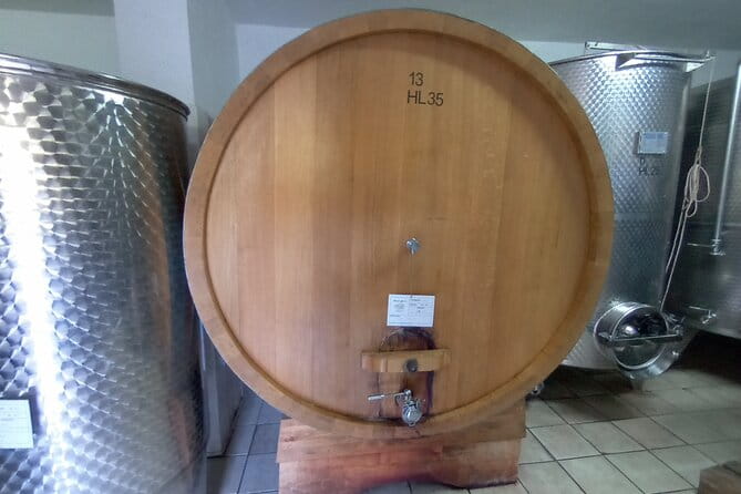 Half-Day Irpinia Wine Tour from SALERNO - The Experience in Detail