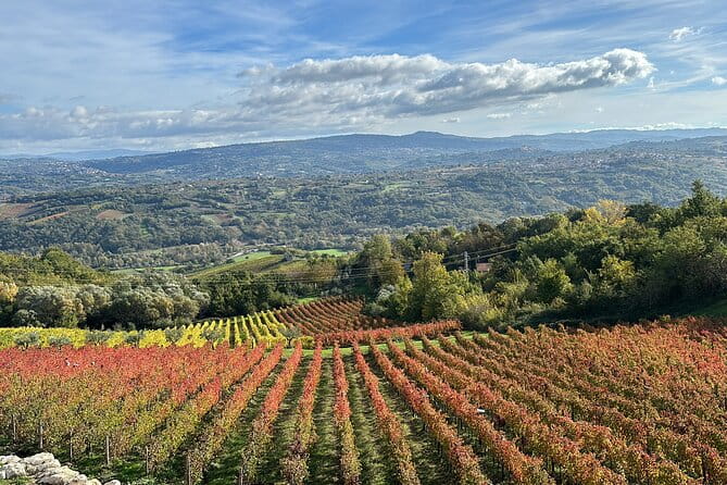 Half-Day Irpinia Wine Tour from SALERNO - FAQ