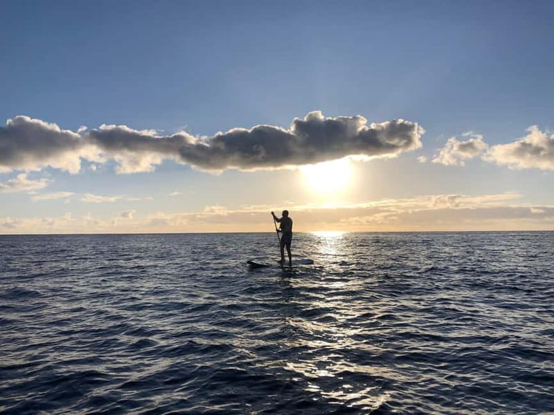 Half Day: Islet tour, snorkeling and Stand up Paddle. - Price and Logistics