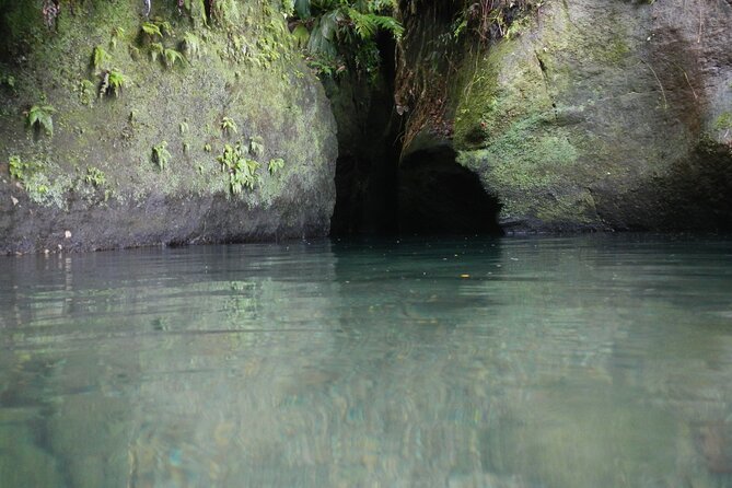 Half Day Jeep Safari - Inclusions and Accessibility