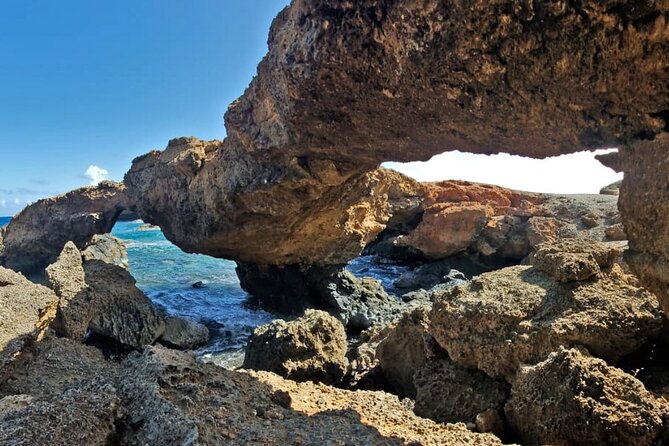 Half-Day Jeep Tour in Aruba - Pickup and Meeting