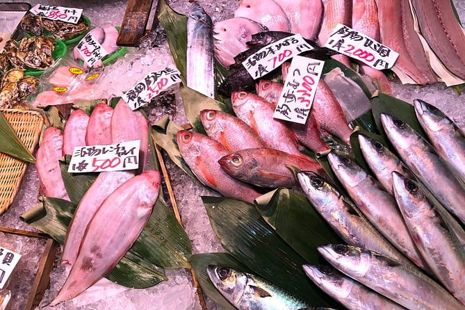 Half-Day Kokura Walking Tour Including TOTO Museum - What to Expect