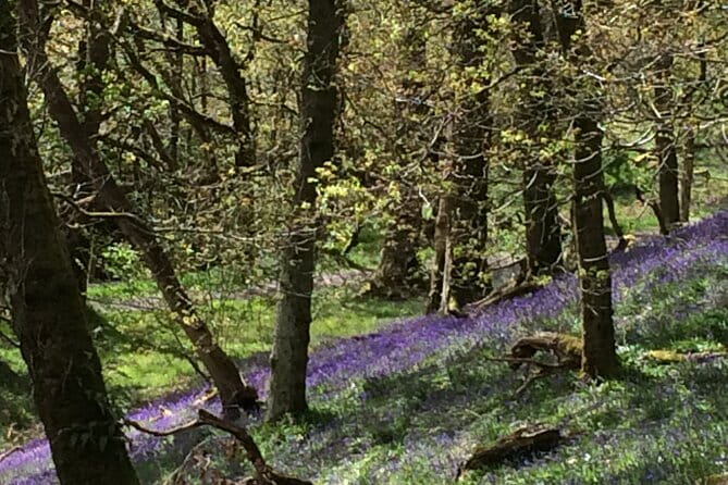 Half Day Loch Katrine Explorer Ebike Tour - Final Thoughts