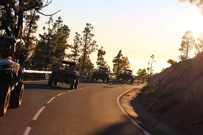 Half Day Morning Buggy Tour in Teide National Park - Exploring the Scenic Stops in Detail