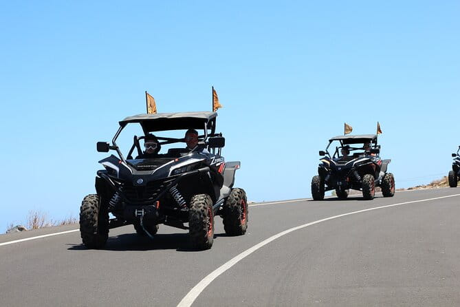 Half Day Morning Buggy Tour in Teide National Park - Who will love this tour?