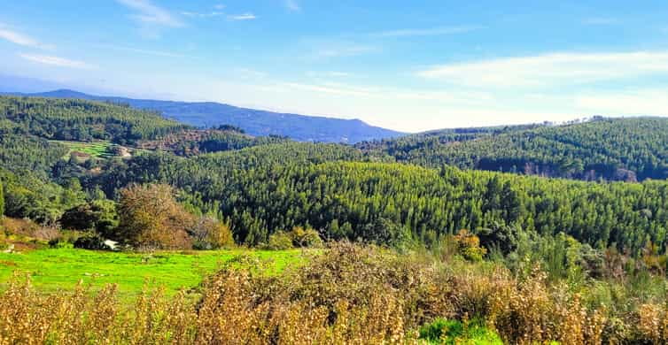 Half-Day Mountain Jeep Safari with firewater tasting - Who This Tour Is Best For