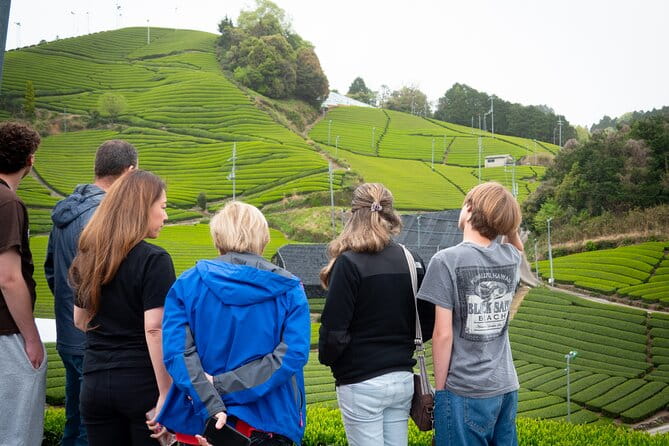 Half Day Nara and Matcha Farm Private Van Tour - Inclusions and Amenities