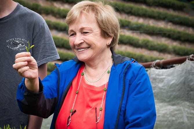 Half Day Nara and Matcha Farm Private Van Tour - Meeting and Pickup Details